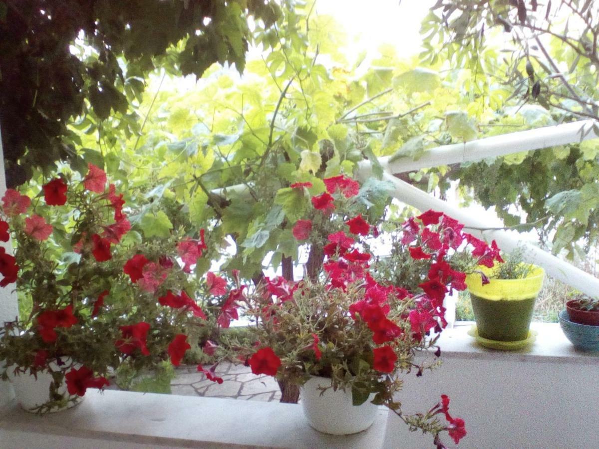 Kavala Apartment 外观 照片